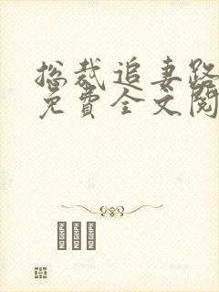 总裁追妻路漫漫免费全文阅读