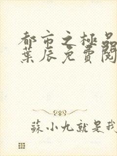 都市之极品医神叶辰免费阅读