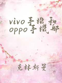vivo手机和oppo手机哪个照相好