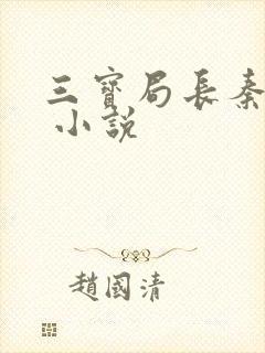 三宝局长秦守仁 小说