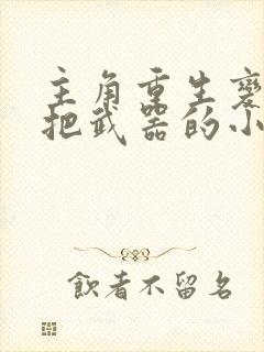 主角重生变成一把武器的小说