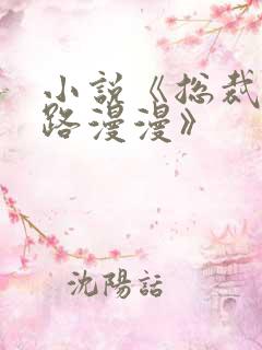 小说《总裁追妻路漫漫》