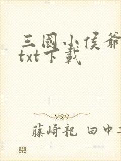 三国小侯爷小说txt下载