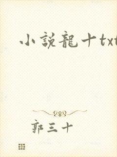 小说龙十txt