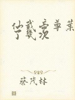 仙武帝尊叶辰死了几次