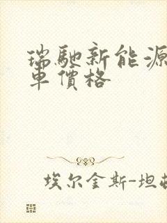 瑞驰新能源面包车价格