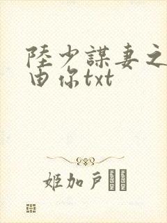 陆少谋妻之婚不由你txt