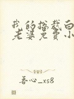 我的总裁白富美老婆免费小说