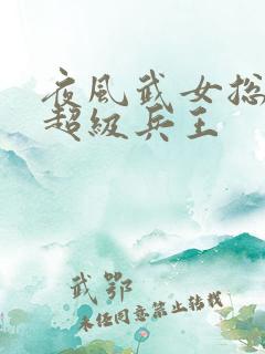 夜风武女总裁的超级兵王