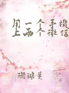 用一个手机怎么上两个微信