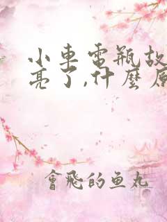 小车电瓶故障灯亮了,什么原因造成的