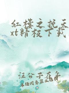 红楼之挽天倾txt精校下载