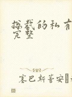 总裁的私有宝贝完整