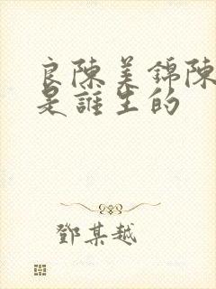 良陈美锦陈玄青是谁生的