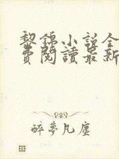 黎锦小说全文免费阅读最新章节