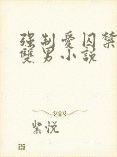 强制爱囚禁调教双男小说