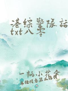 港综警队话事人txt八零