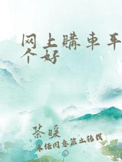 网上购车平台哪个好