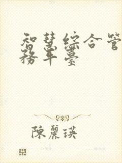 智慧综合管理服务平台