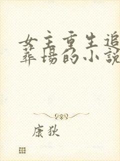 女主重生追夫火葬场的小说