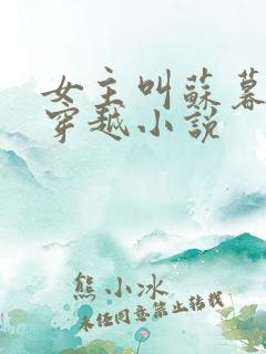 女主叫苏暮雪的穿越小说