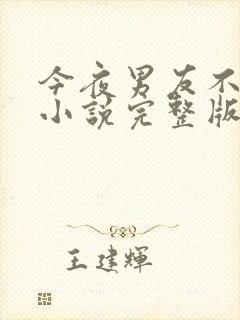 今夜男友不在家小说完整版免费阅读