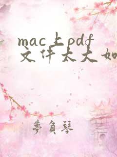 mac上pdf文件太大如何变小