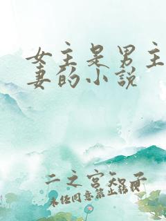 女主是男主未婚妻的小说