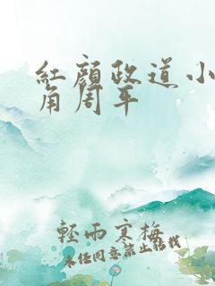 红颜政道小说主角周平