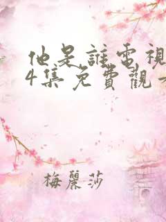 他是谁电视剧24集免费观看完整版