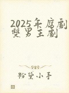 2025年腐剧双男主剧