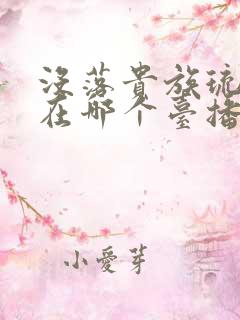 没落贵族琉璃川在哪个台播出