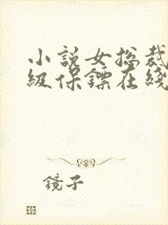 小说女总裁的神级保镖在线观看