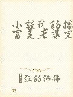 小说我的总裁白富美老婆完结版