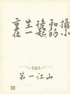 重生后和摄政王在一起的小说