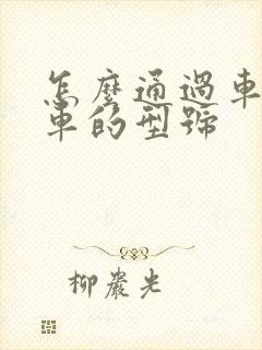 怎么通过车牌查车的型号