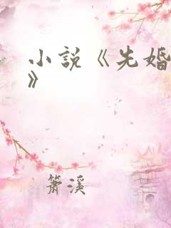 小说《先婚后爱》