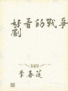 好看的战争类美剧