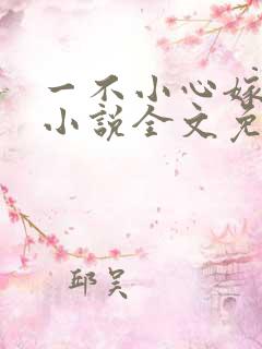 一不小心嫁总裁小说全文免费阅读