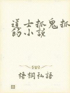 道士抓鬼抓僵尸的小说