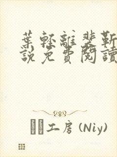 叶轻离裴靳墨小说免费阅读无弹窗