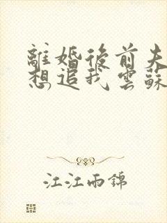 离婚后前夫总是想追我云苏