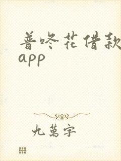 普咚花借款下载app