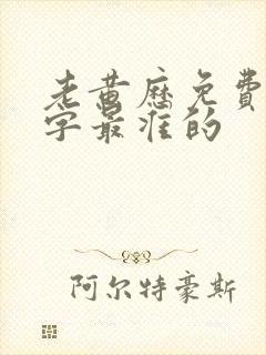 老黄历免费算八字最准的