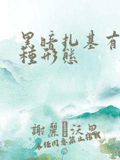 黑暗扎基有多少种形态