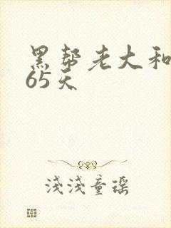 黑帮老大和我365天