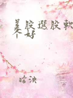 美股选股软件哪个好