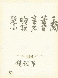 楚昀宁萧王穿越小说免费阅读无弹窗