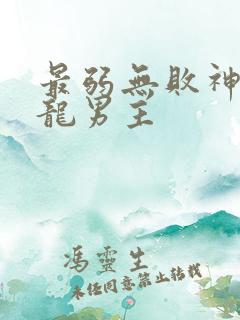 最弱无败神装机龙男主