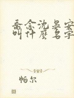 乔念沈晏安小说叫什么名字